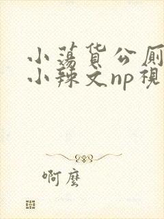 小荡货公厕h文小辣文np视频