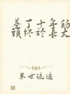 养了十年的小丫头终于长大了