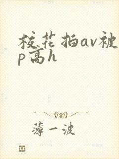 校花拍av被np高h