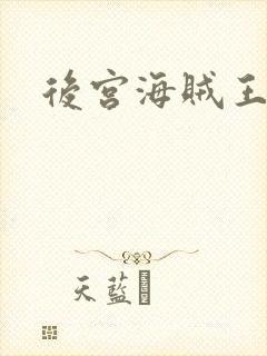 后宫海贼王
