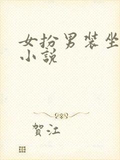 女扮男装坐江山小说