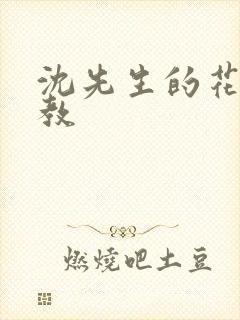 沈先生的花式管教