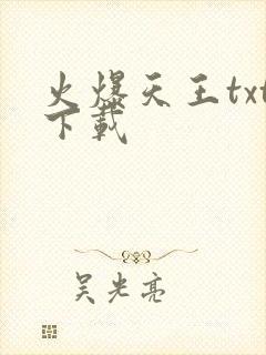 火爆天王txt下载