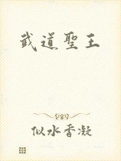 武道圣王