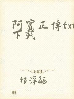 阿宾正传txt下载