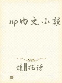 np肉文小说