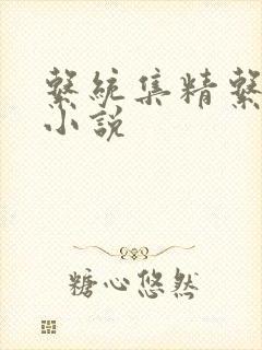 系统集精系统 小说