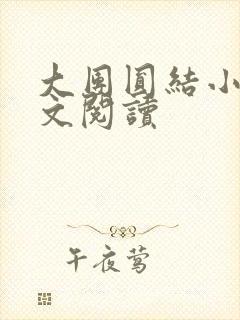 大团圆结小茹全文阅读