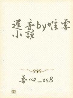 迟音by唯雾的小说