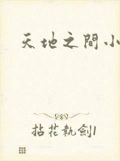 天地之间小说