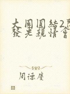 大团圆结2闪闪发光亲情会