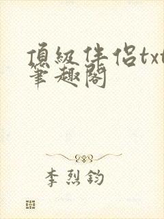 顶级伴侣txt笔趣阁