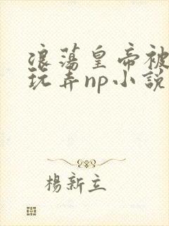 浪荡皇帝被多人玩弄np小说