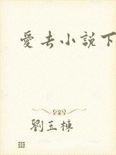 爱去小说下载网