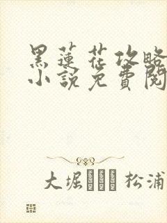 黑莲花攻略手册小说免费阅读全文