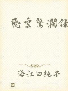 飞云惊澜录