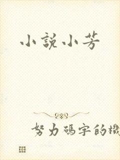 小说小芳