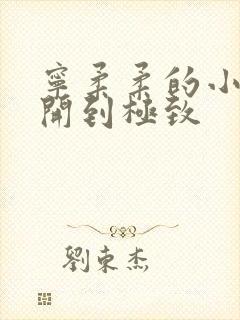 宁柔柔的小泬撑开到极致