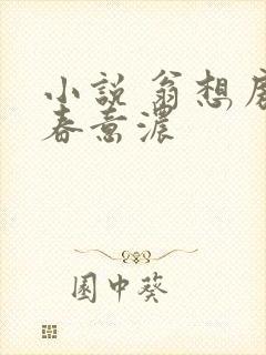 小说 翁想房中春意浓