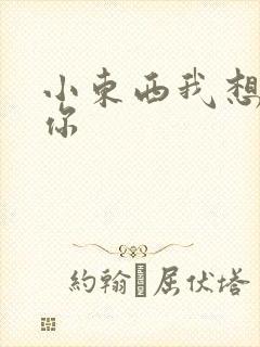 小东西我想弄坏你