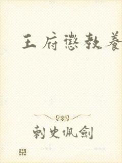 王府惩教养日常