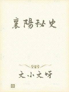 襄阳秘史