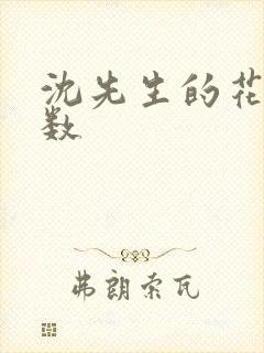 沈先生的花式调数