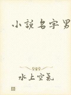 小说名字男生