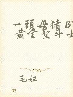 一头母猪 BY 黄金圣斗士