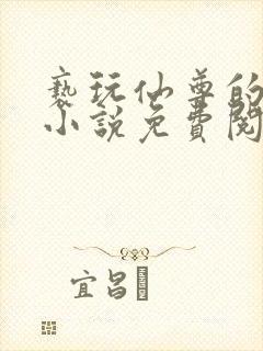 亵玩仙尊的道侣小说免费阅读