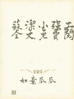 苏洁小强工地情全文免费阅读