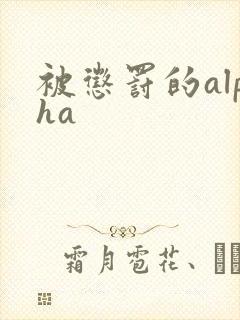 被惩罚的alpha