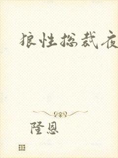 狼性总裁夜欢宠