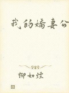 我的娇妻公务员