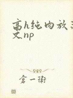 高h纯肉放荡h文np