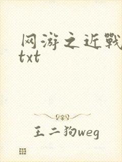 网游之近战法师txt
