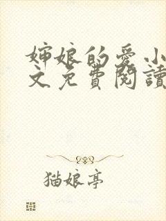 婶娘的爱小说全文免费阅读