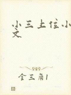 小三上位小说全文