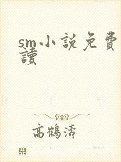 sm小说免费阅读