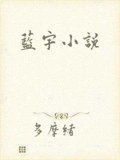 蓝宇小说
