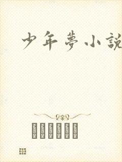 少年梦小说