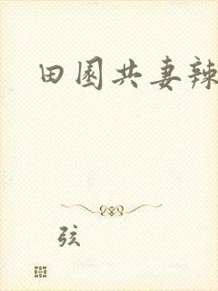 田园共妻辣