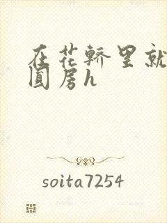 在花轿里就开始圆房h