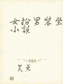女扮男装坐江山小说