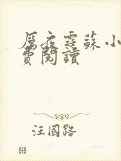 厉夜霆苏小汐免费阅读