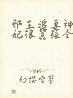 邪王追妻神医狂妃很嚣张全文免费