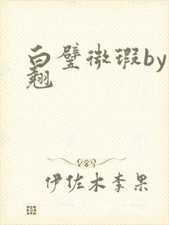 白璧微瑕by连翘