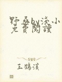 野桑by浅小说免费阅读