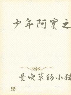 少年阿宾之学姐