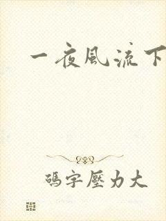 一夜风流下载